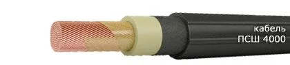 Кабель ПСШ 4000 1