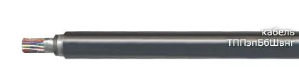 Кабель ТППэпБбШвнг