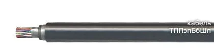 Кабель ТППэпБбШп 200х2х0,5